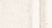 Actualités